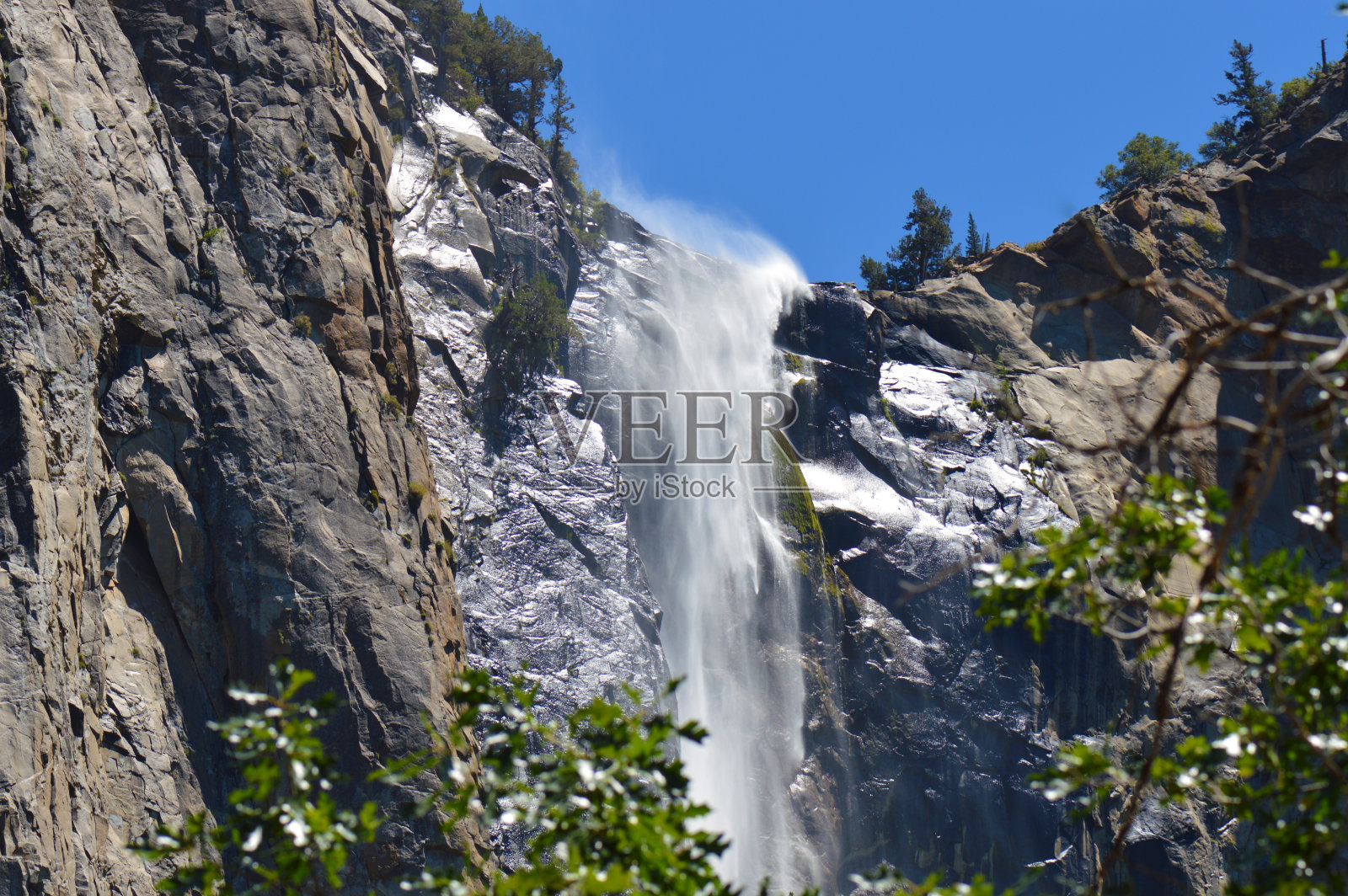 透过树木观赏瀑布照片摄影图片