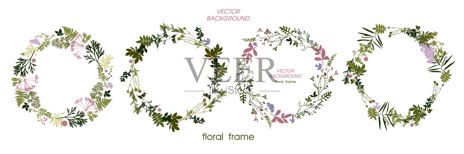 一套圆形的花框架草甸草本。植物的绿色花环。元素的设计。矢量图插画图片素材