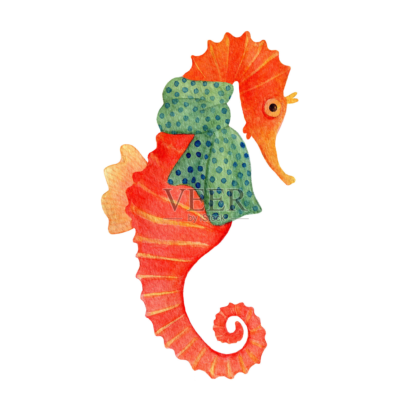 红色水彩海马在绿色围巾孤立在白色的背景插画图片素材