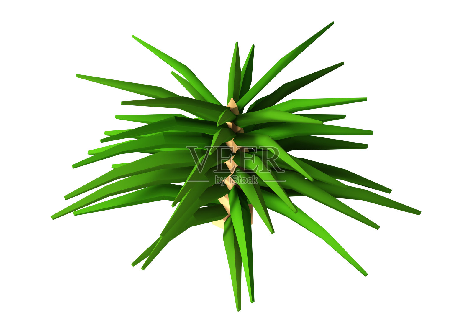 3D插图绿色苔藓在白色照片摄影图片