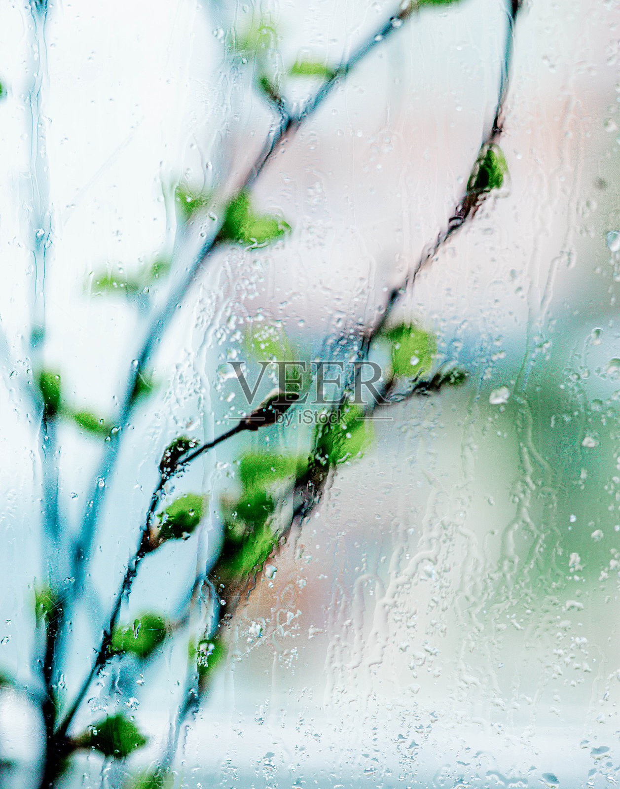 多雨的窗口照片摄影图片