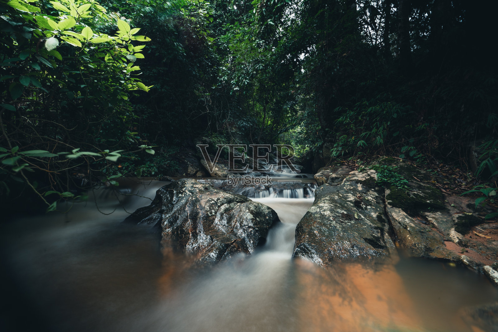 森林里的小溪在雨季是暗绿色的。照片摄影图片