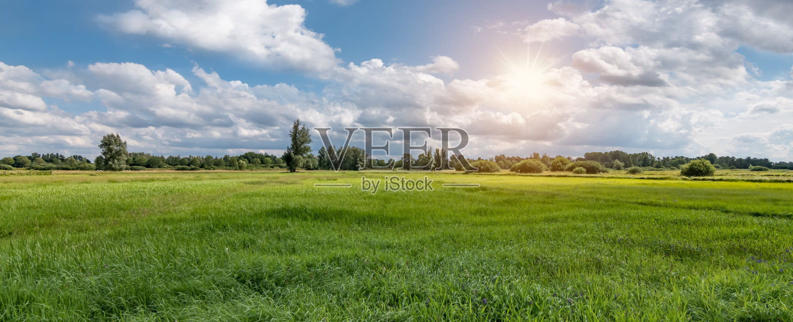 日落时比利时的自然和草地景观的全景。照片摄影图片