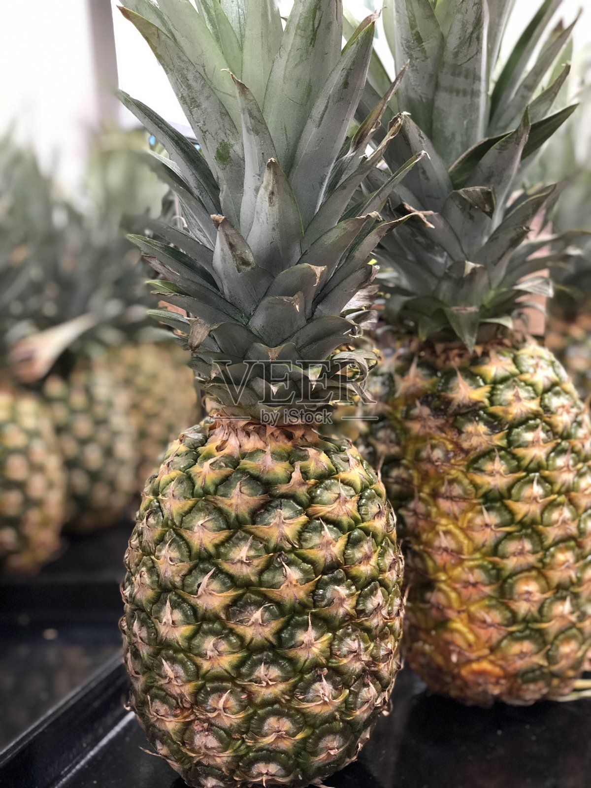 接近成熟的菠萝照片摄影图片