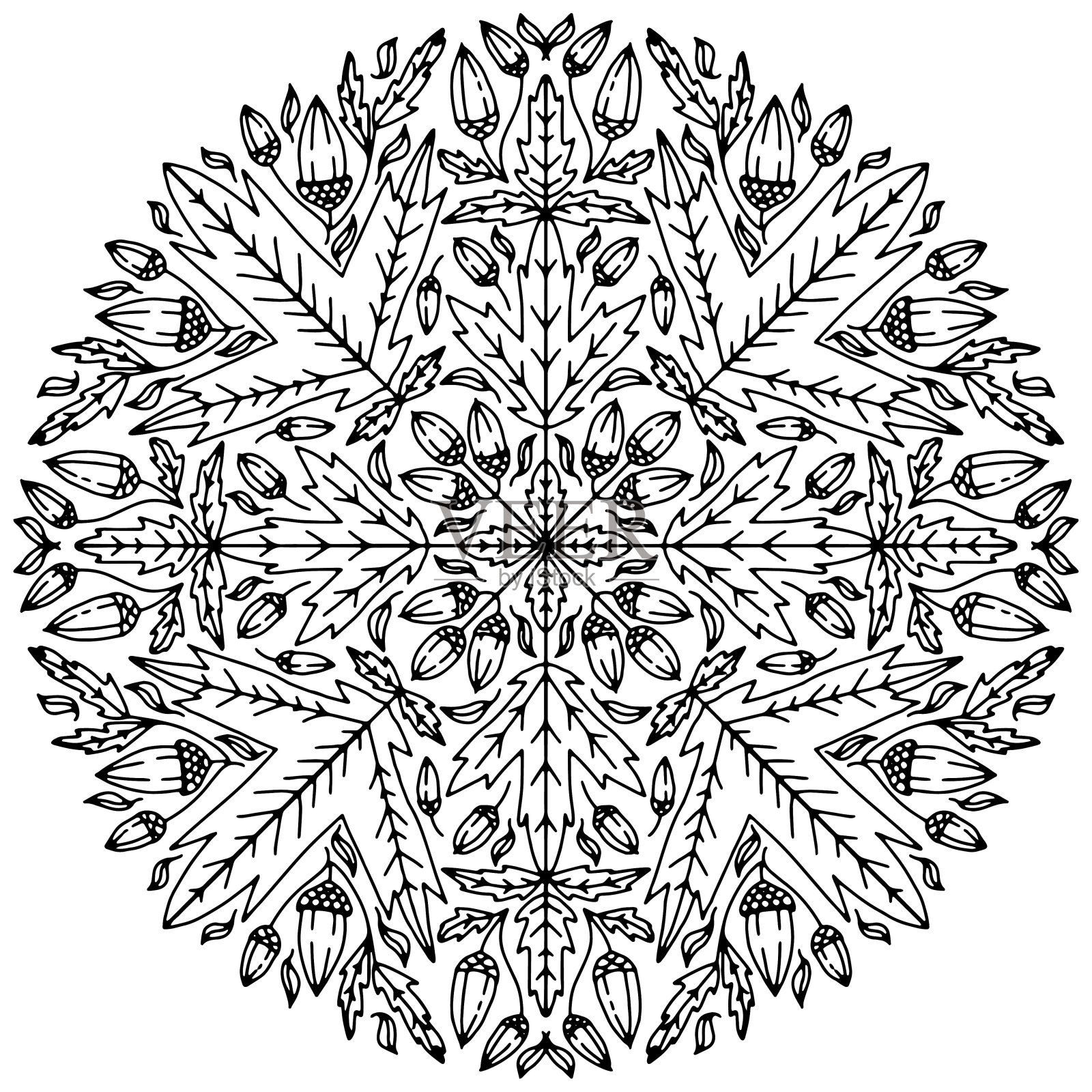 曼荼罗由树叶和橡子构成的彩色，画在白色的背景上，矢量，秋天插画图片素材