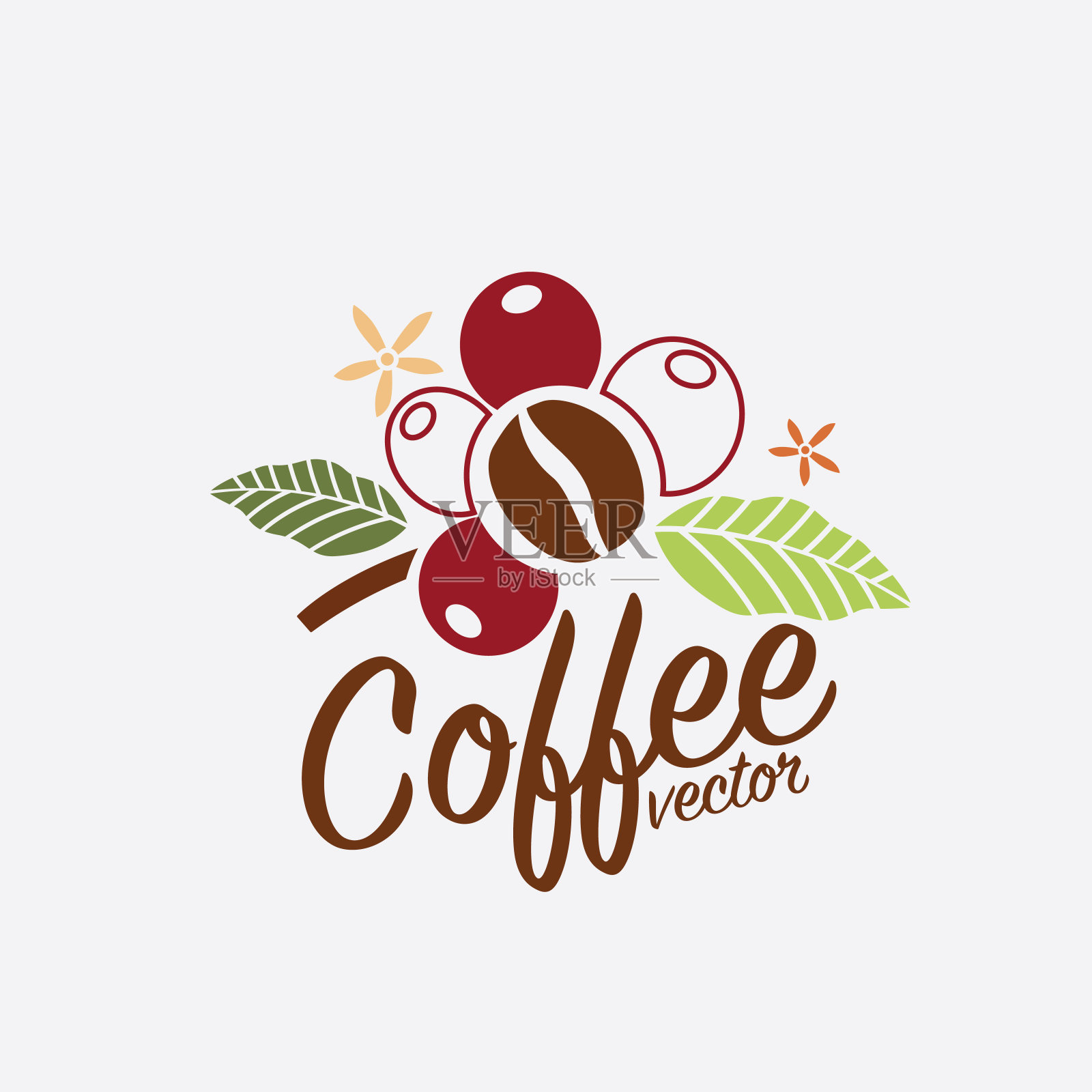 向量图形咖啡树种植，树枝，叶子，豆。插画图片素材