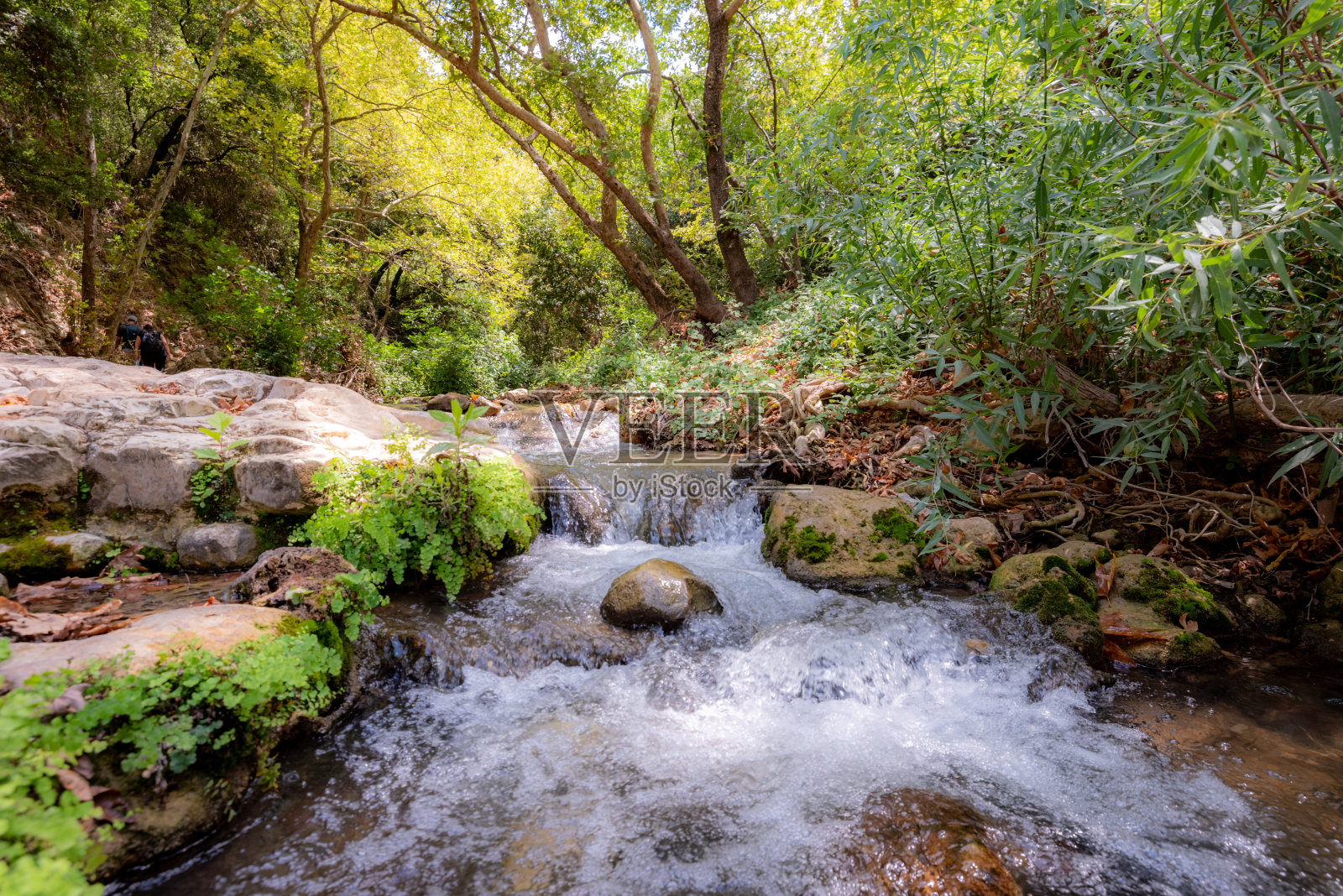 纳哈尔克齐夫，戈兰高地照片摄影图片