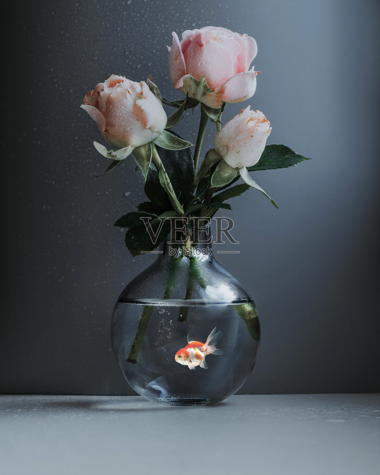 奥林巴斯数码相机照片摄影图片