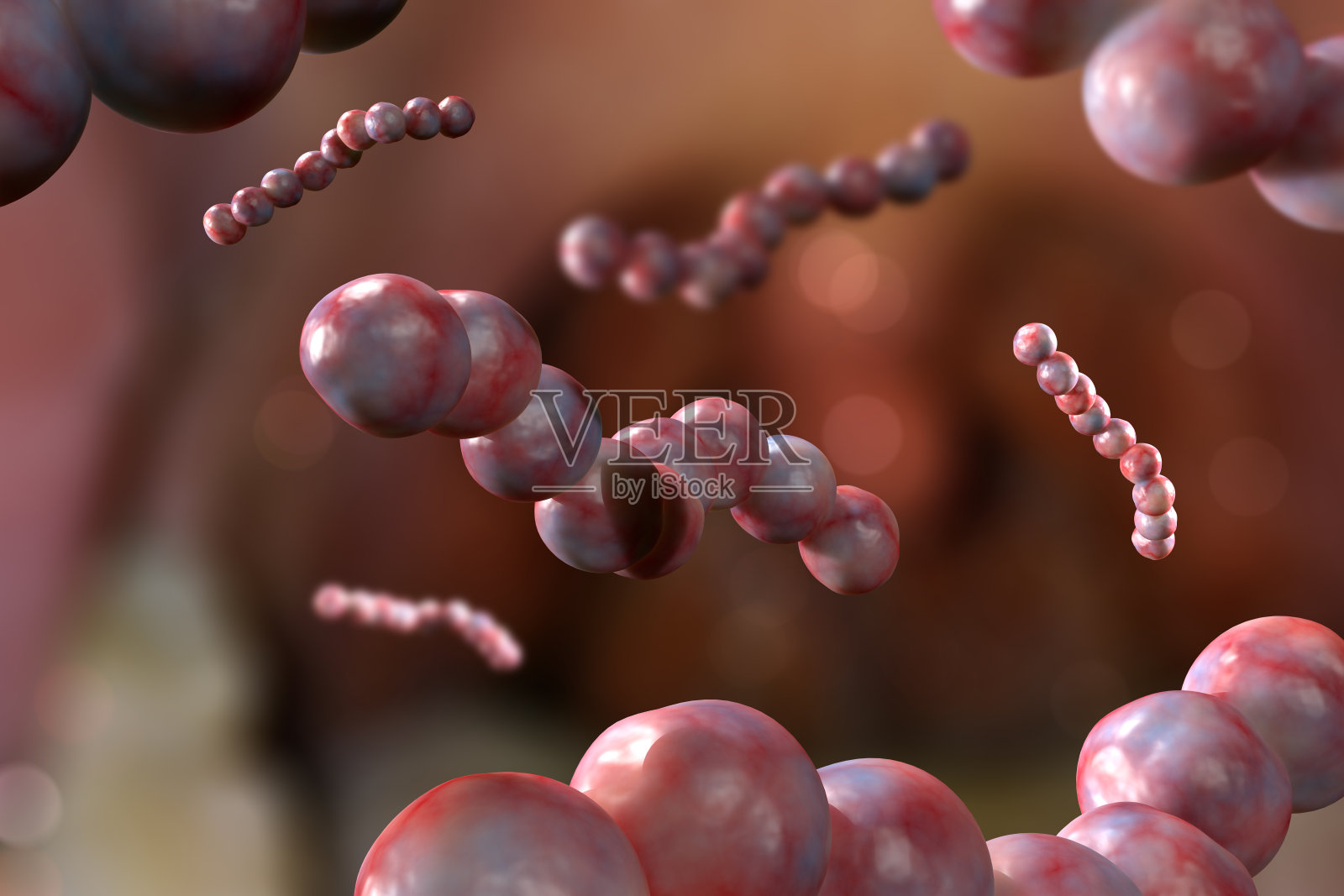 链球菌，咽喉链球菌肺炎照片摄影图片