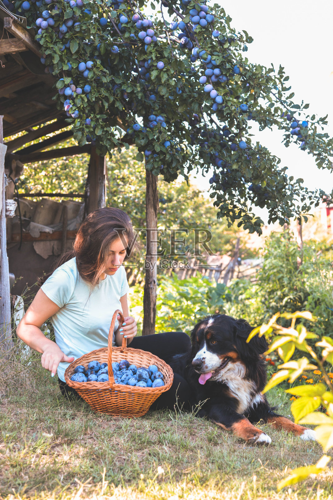 最好的朋友照片摄影图片