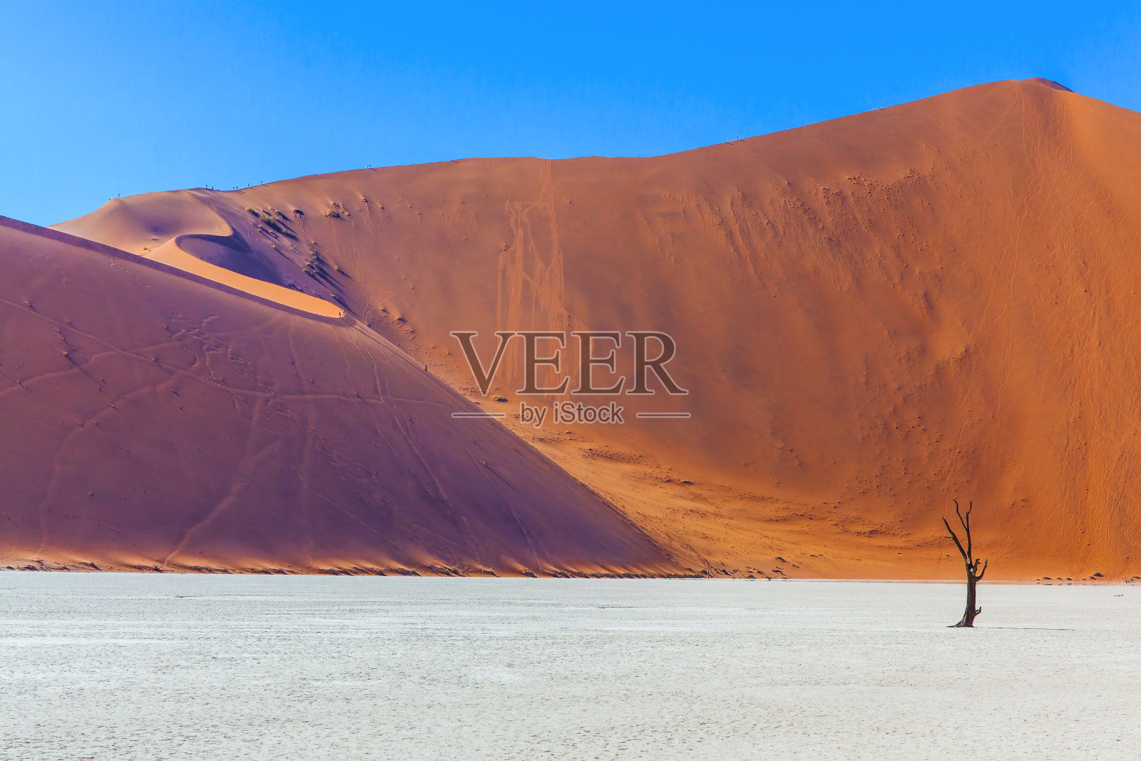 干涸的苏萨斯弗雷湖照片摄影图片