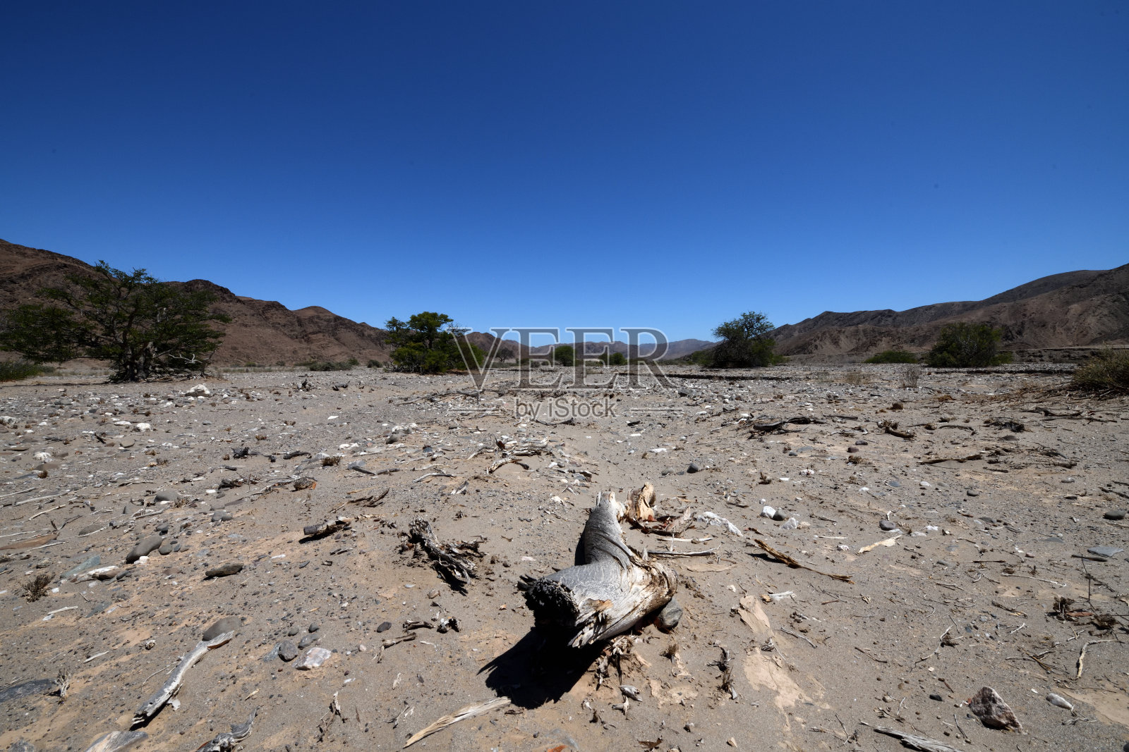 纳米比亚库内内地区穆多里布河中的洪水碎屑照片摄影图片