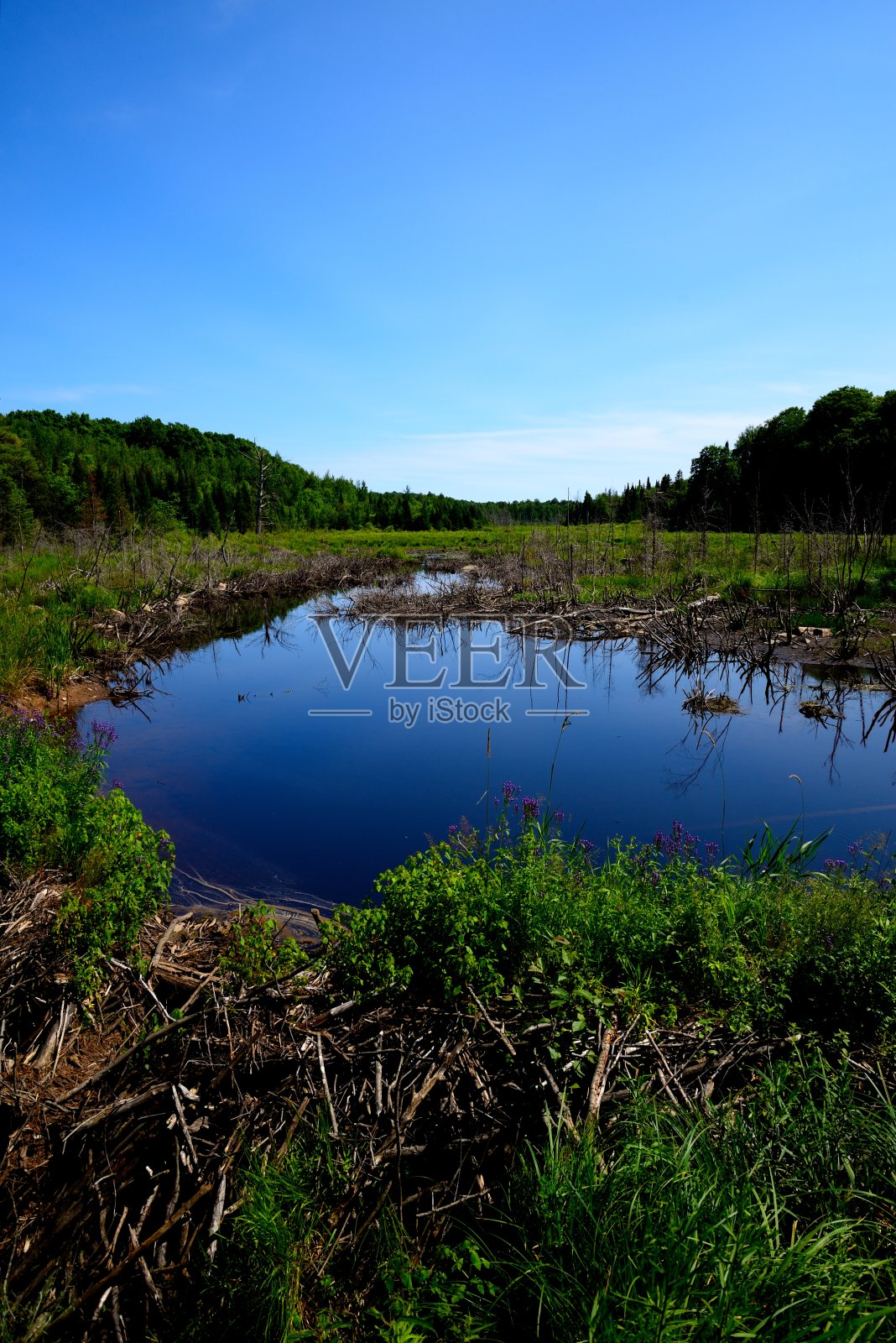 垂直视图反射平静的山谷开放水域照片摄影图片