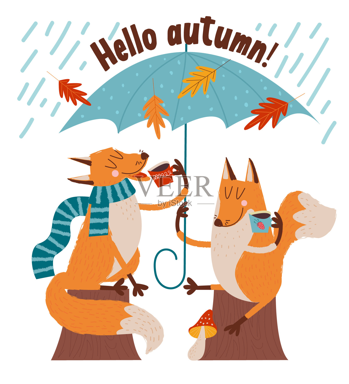 你好,秋天。可爱的狐狸喝茶。插画图片素材