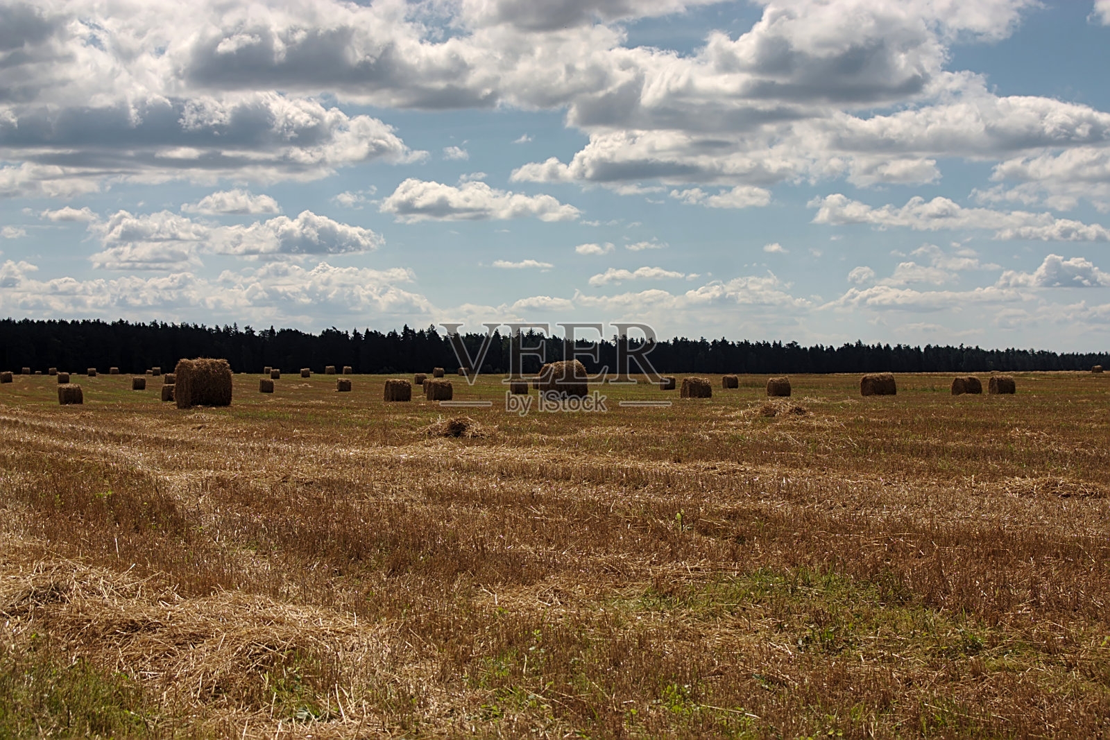 收割后麦田里的稻草卷照片摄影图片