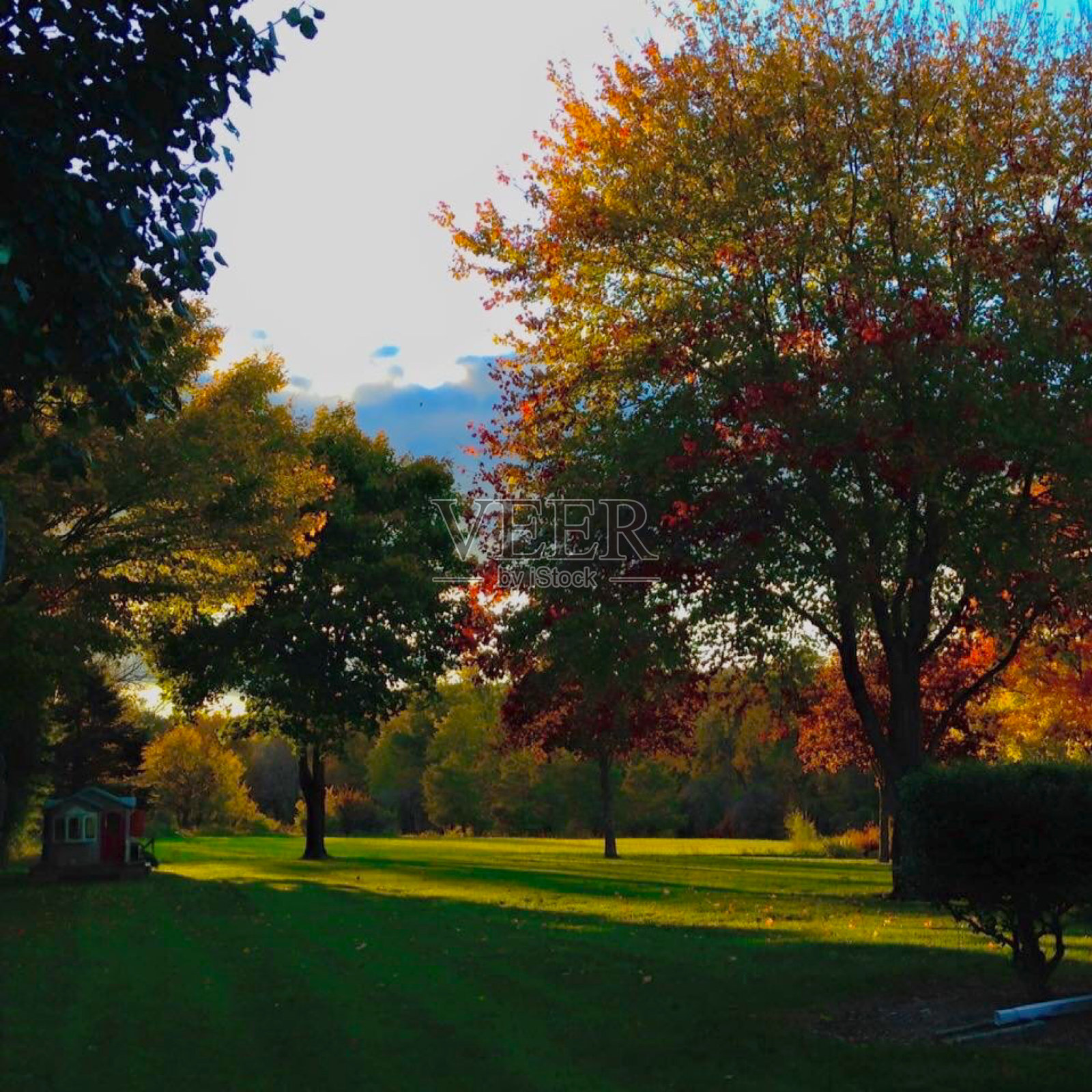 午后秋天的太阳照片摄影图片