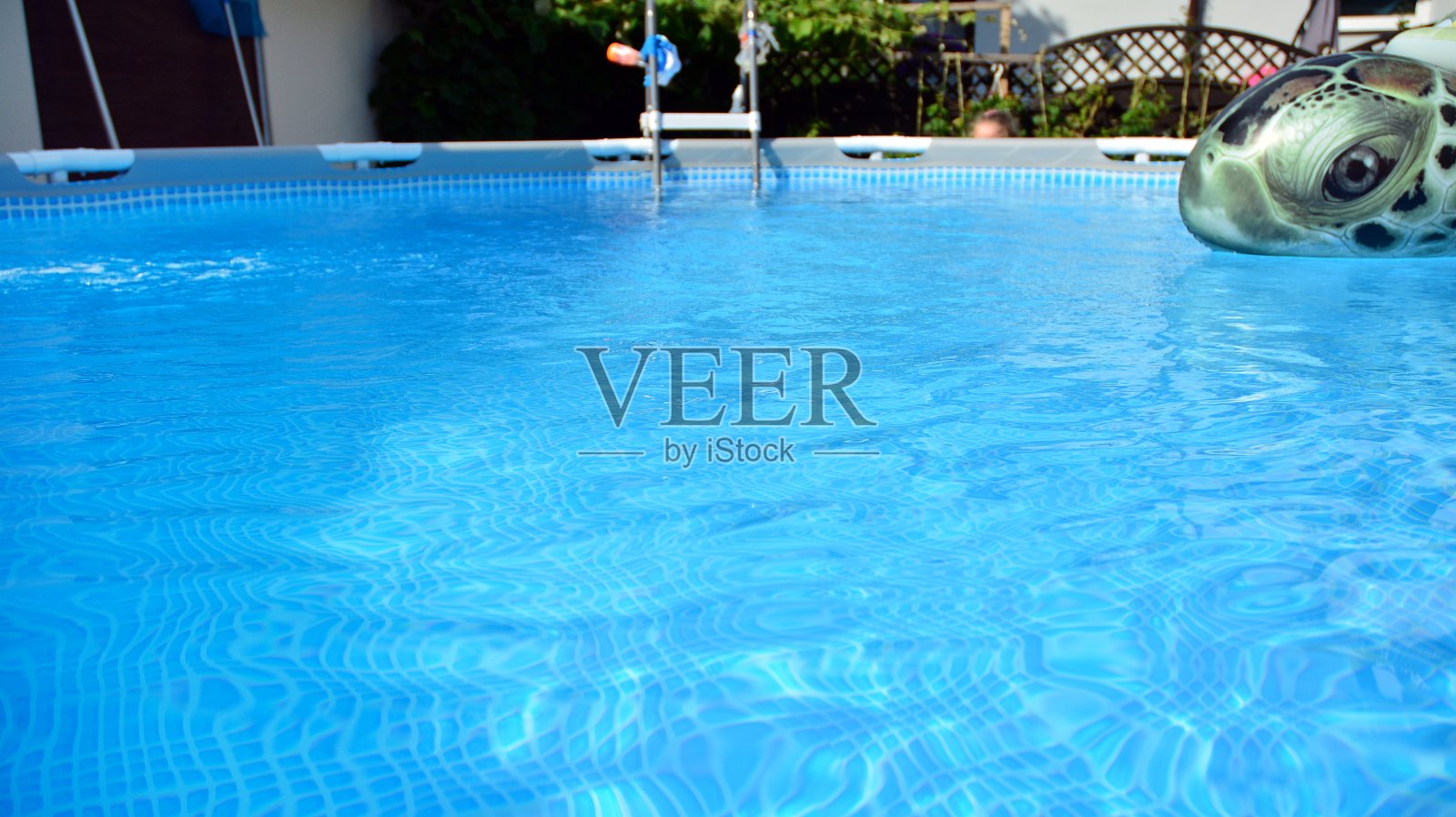 一个私家花园的框架池，夏天照片摄影图片