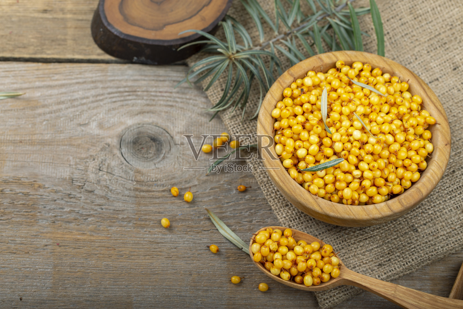 沙棘的果实照片摄影图片