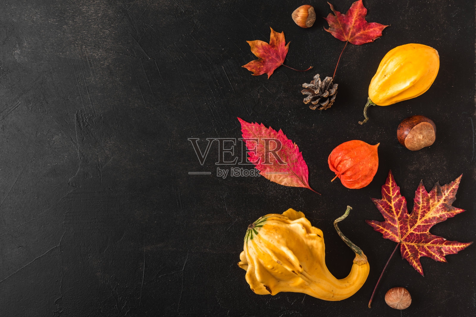 秋天或感恩节的背景。秋天的叶子，花，南瓜和坚果在黑色的背景。平躺照片摄影图片
