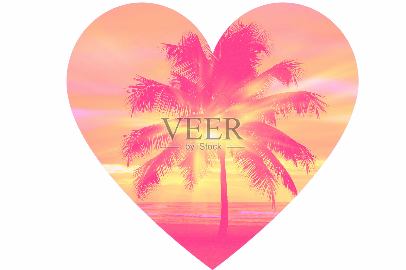 海滩上有棵棕榈树。照片摄影图片