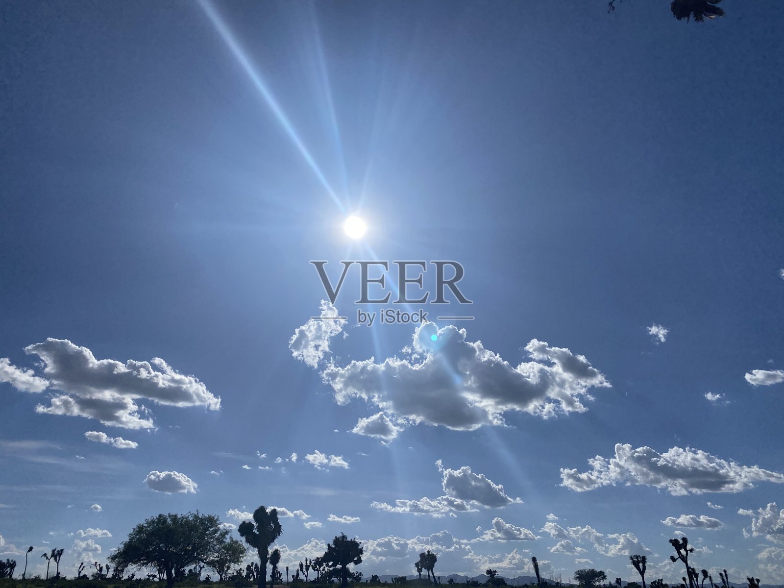 蔚蓝的天空和明亮的阳光下的沙漠景观照片摄影图片