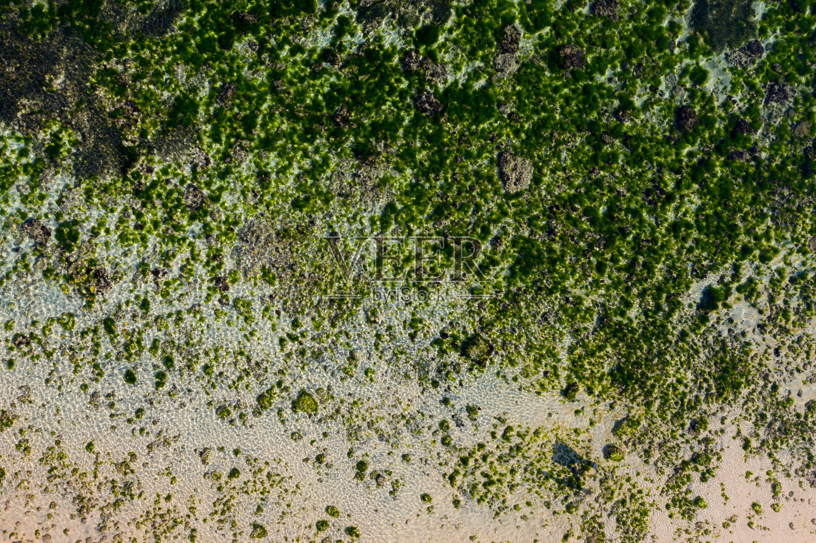 热带海洋珊瑚礁背景。美丽的水的质地。无人机的观点。照片摄影图片