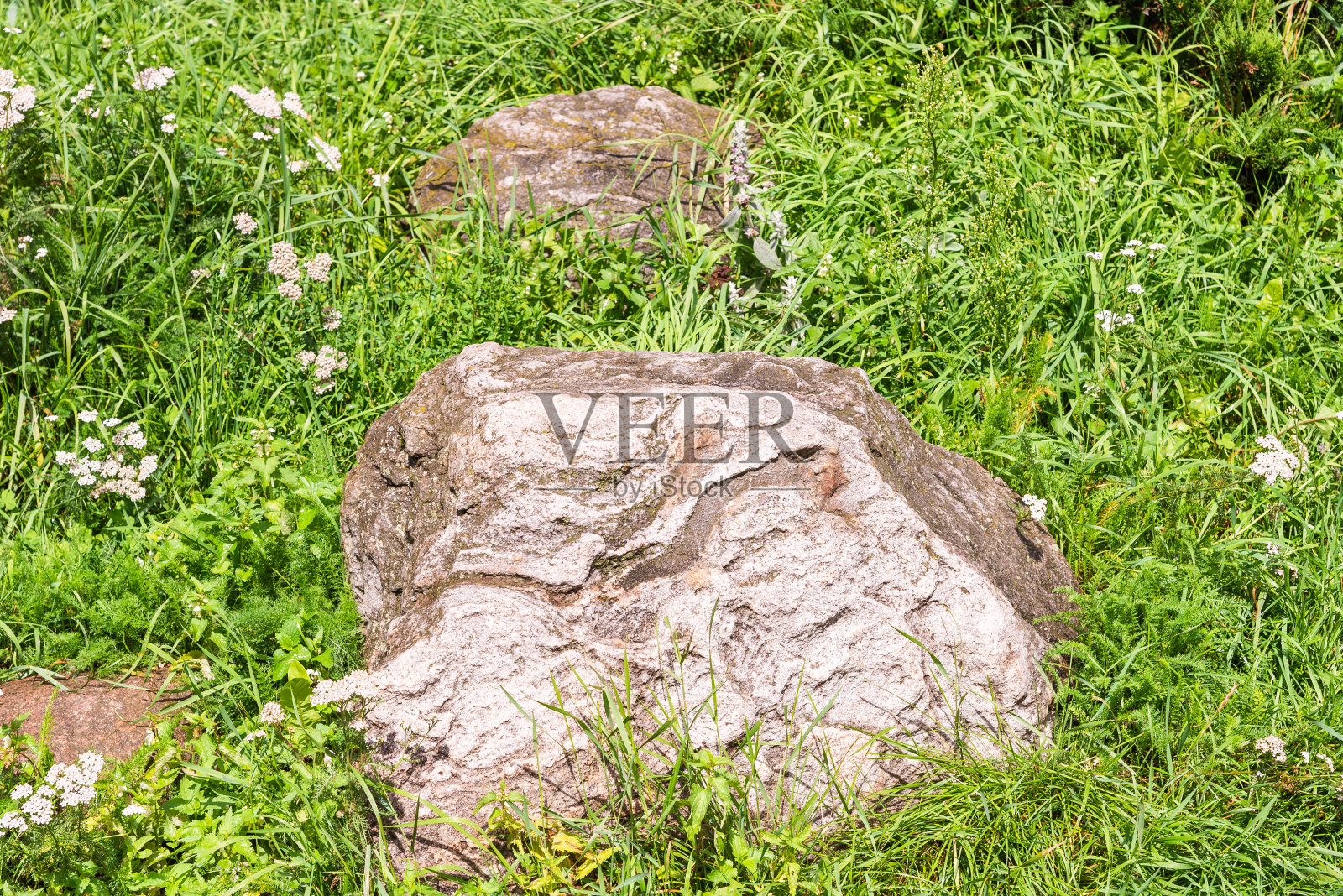 景观设计的元素，假山在庭院中——大的天然巨石在草丛中照片摄影图片