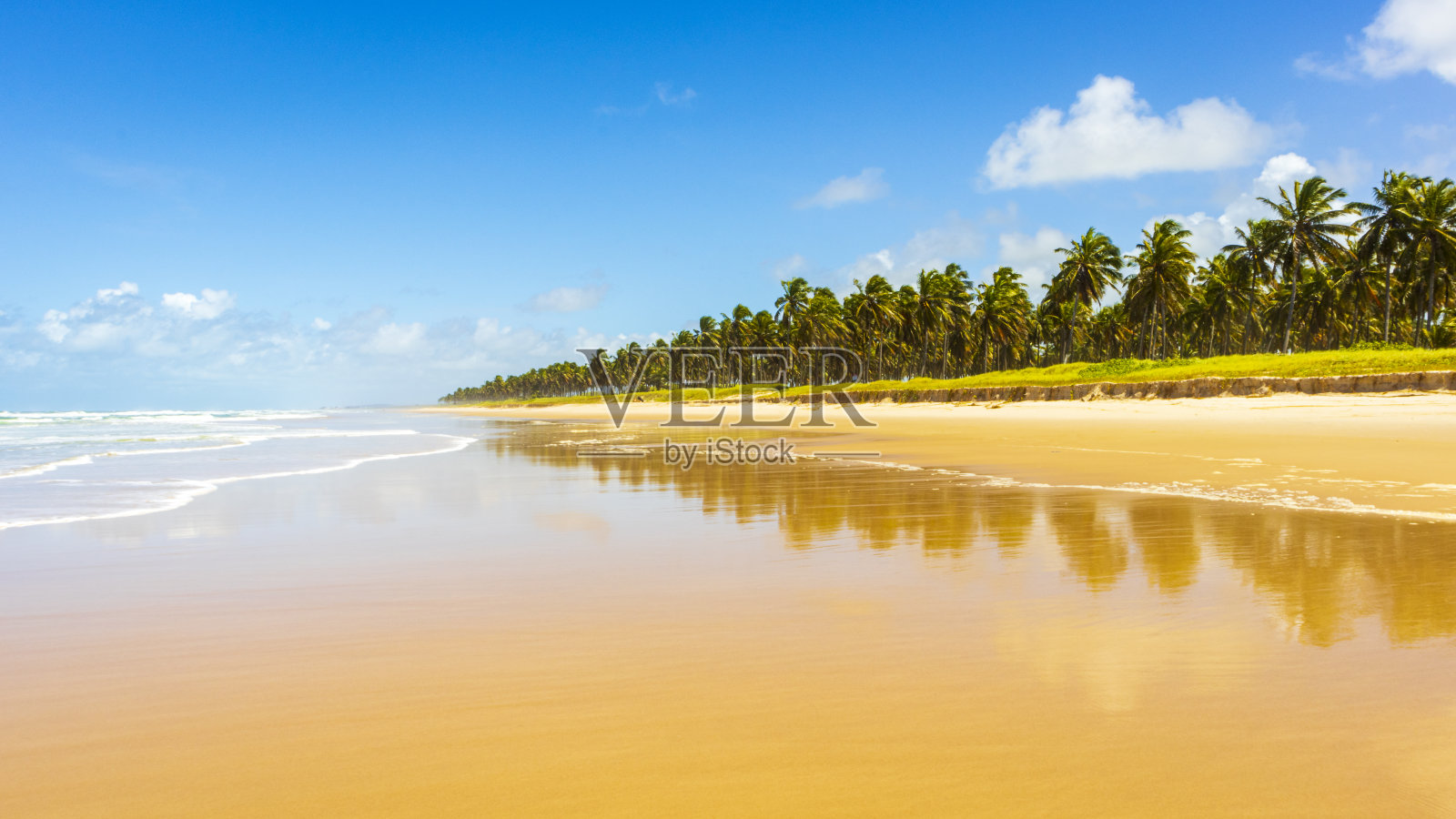 海滩照片摄影图片