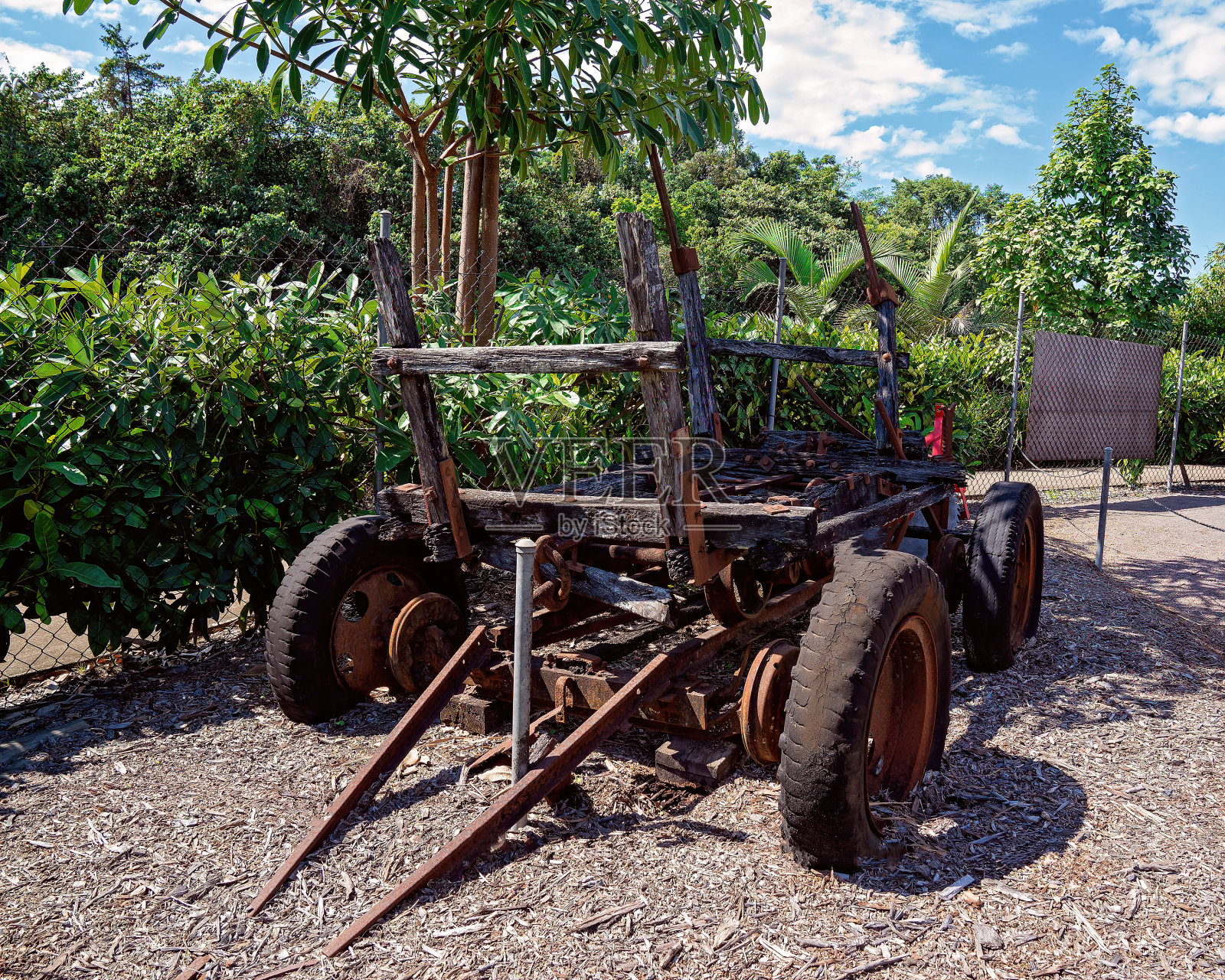 马拉藤车照片摄影图片