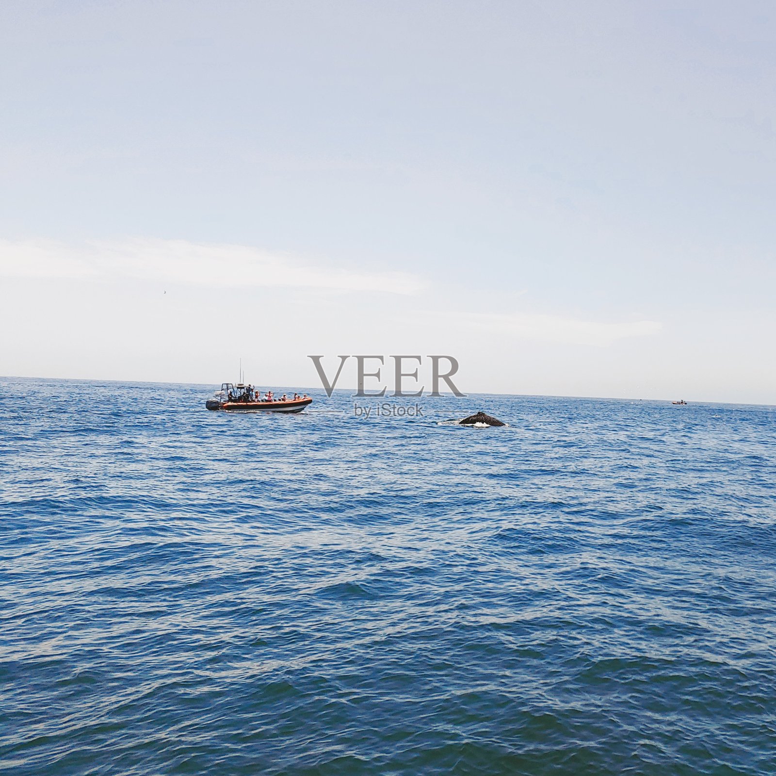 比船大照片摄影图片