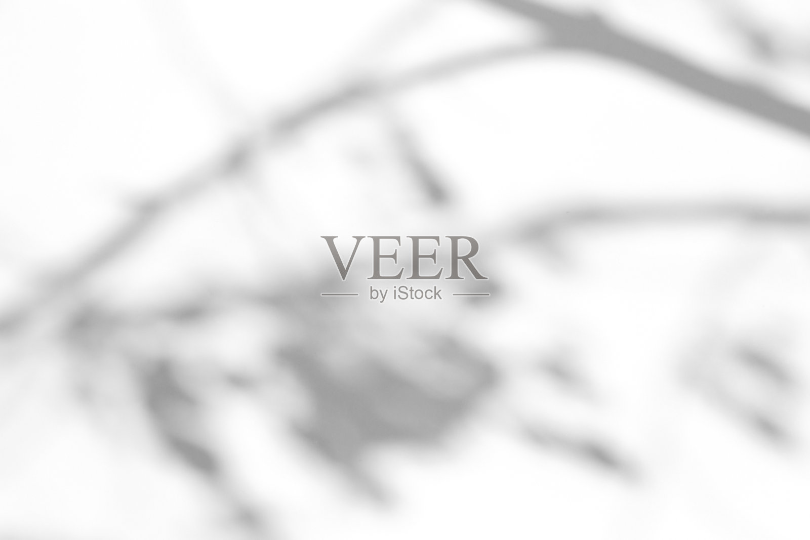 阴影叠加效果的照片。阳光下，白色墙壁上的树叶和热带树枝的阴影。照片摄影图片