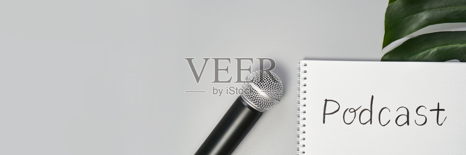 播客概念。白色笔记本和空白页。麦克风和巨叶照片摄影图片