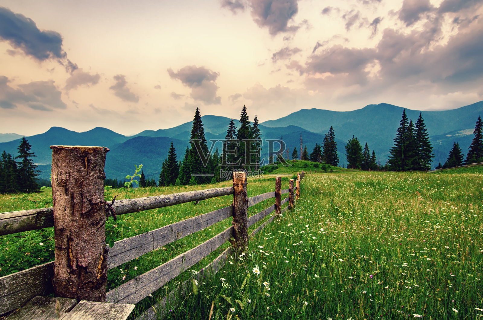 山地夏季景观照片摄影图片