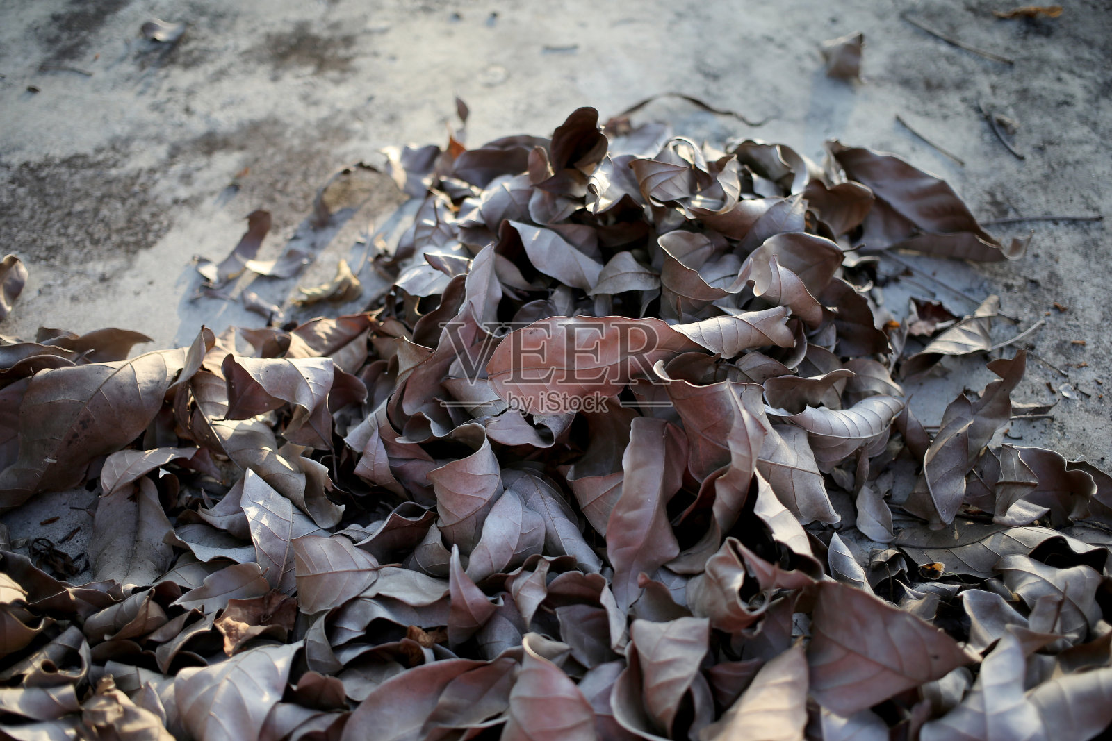 清理照片摄影图片