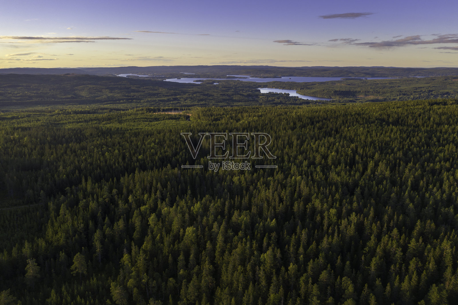 森林景观照片摄影图片