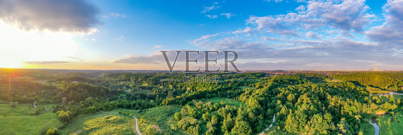 加拿大安大略省伍德布里奇博伊德保护公园的威廉·格兰杰·格林威照片摄影图片