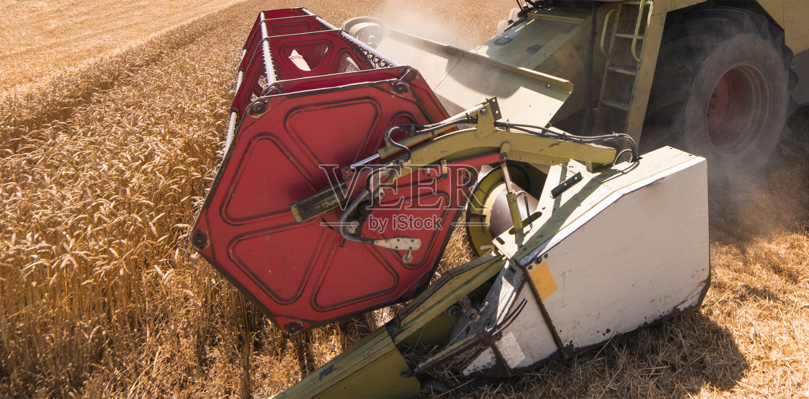 在麦田里工作的联合收割机照片摄影图片