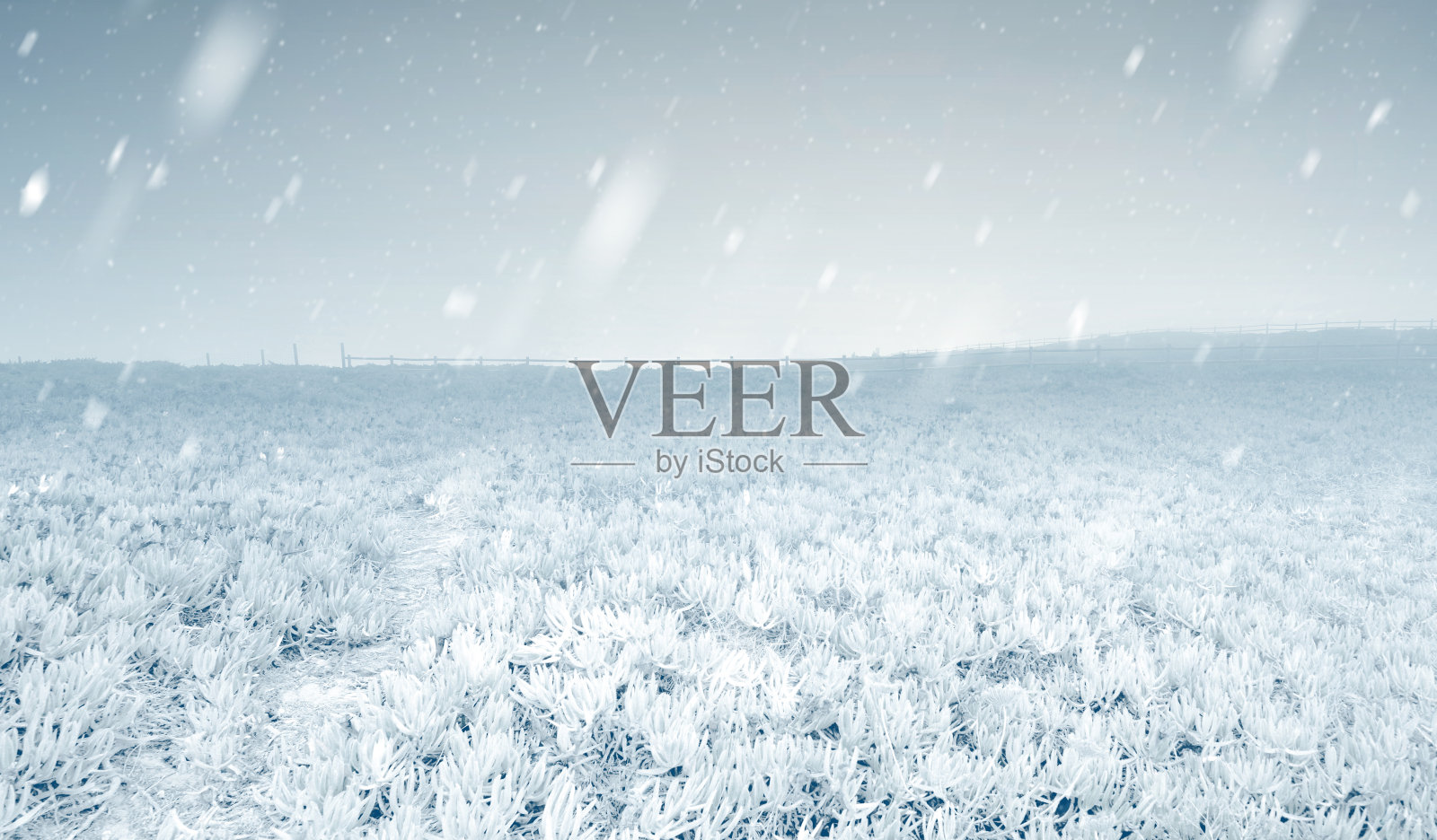 具有冬季气候的草地照片摄影图片