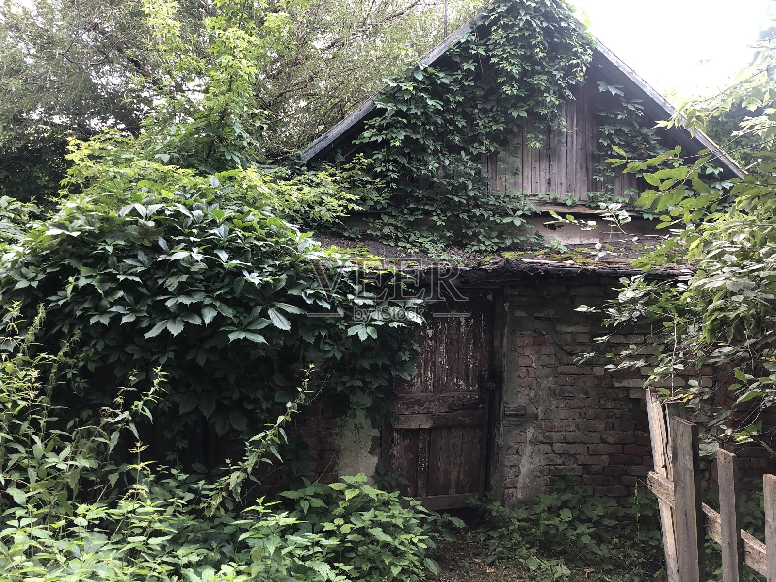 老房子照片摄影图片