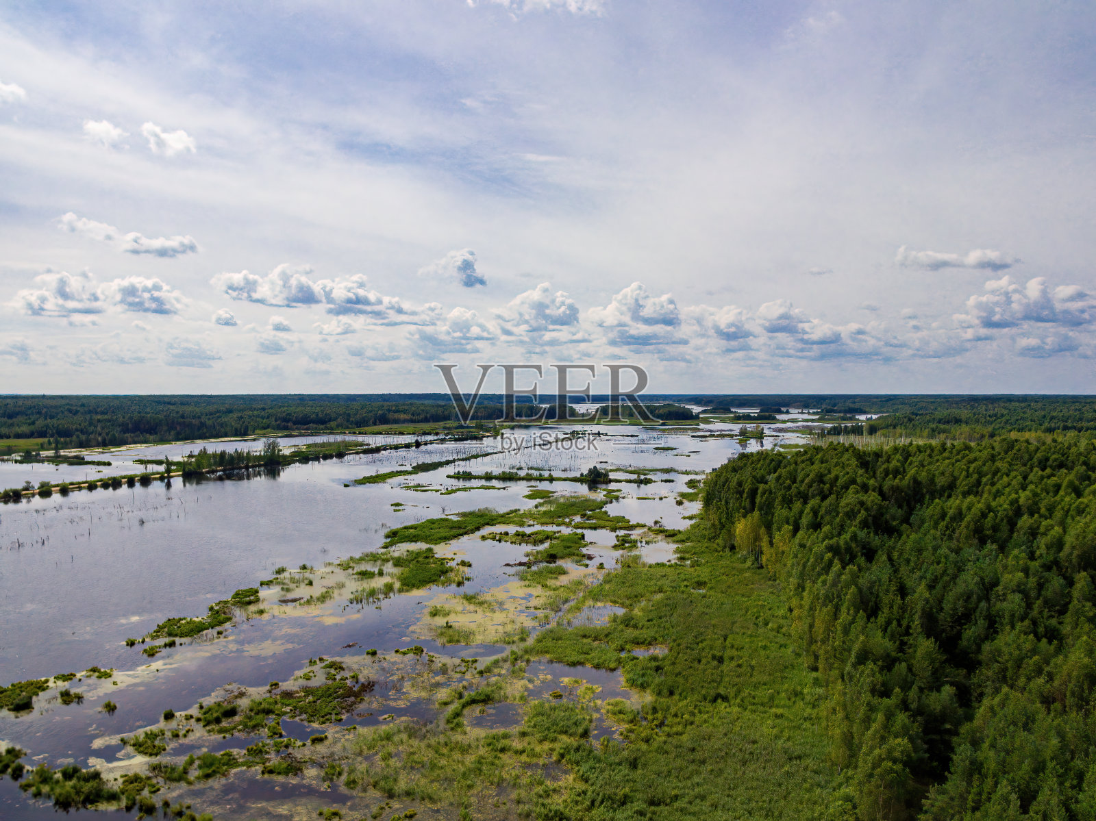 鸟瞰森林和湖泊。照片摄影图片