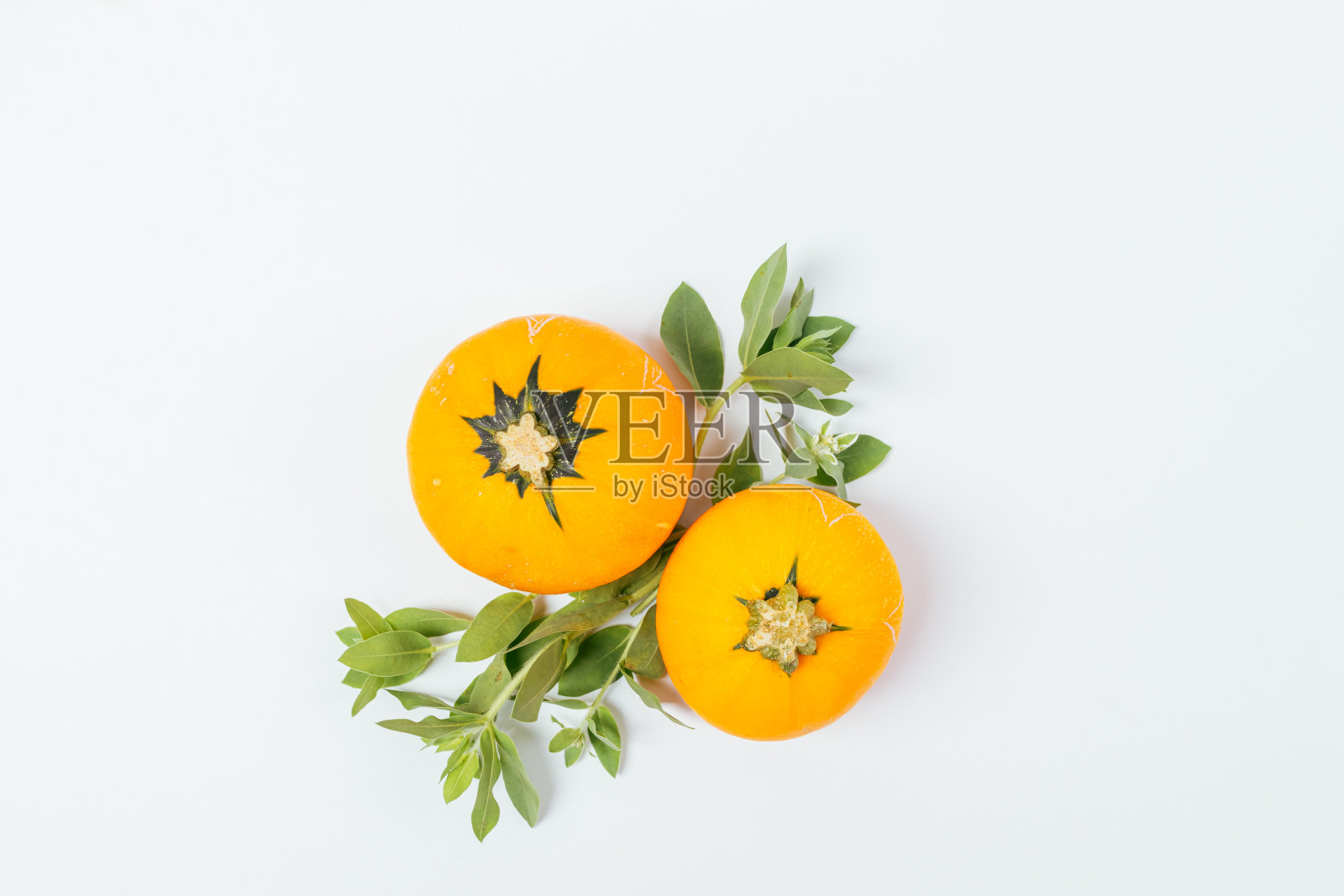 橙色的南瓜，绿色的叶子，白色的背景照片摄影图片