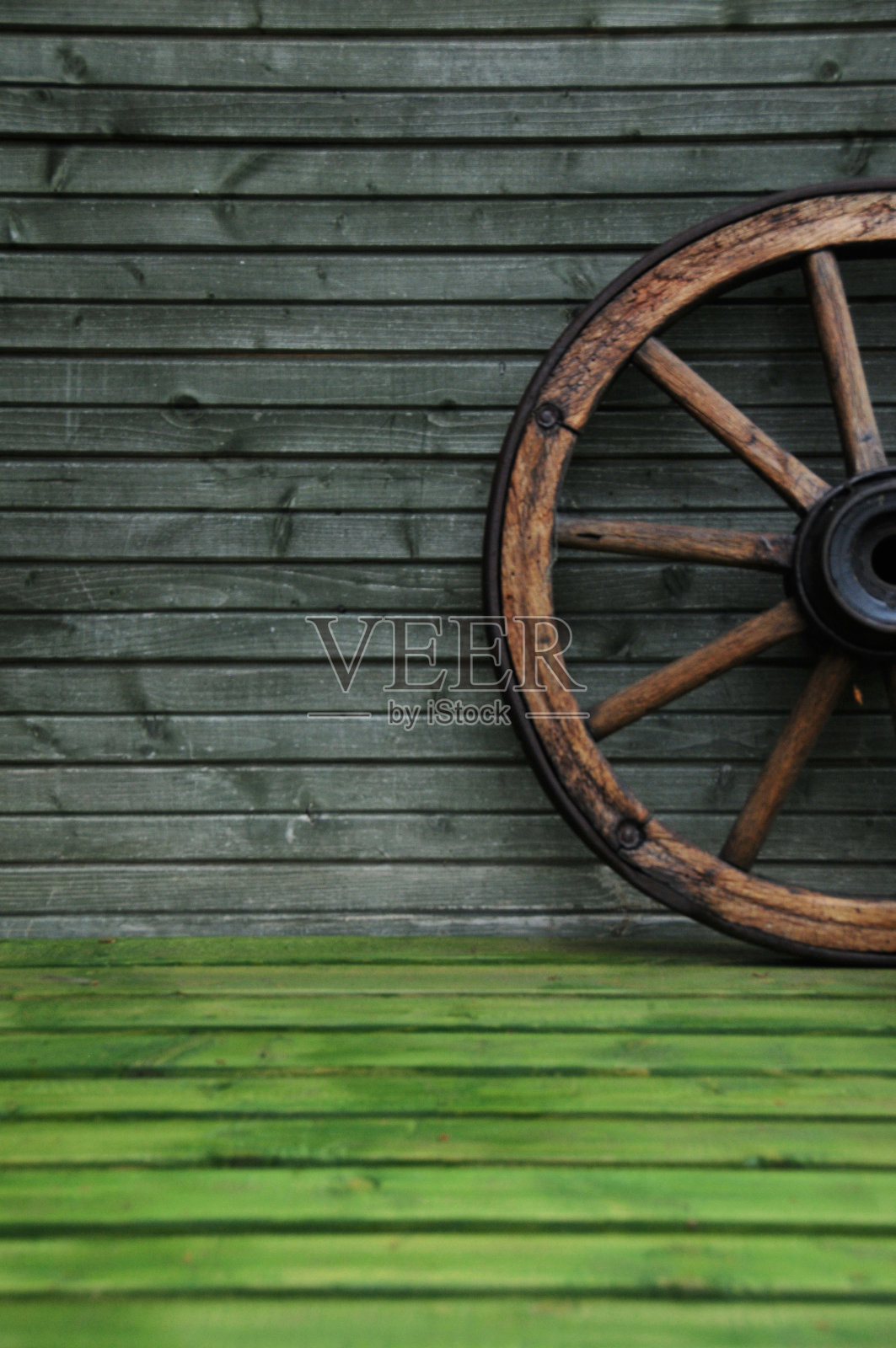 轮照片摄影图片