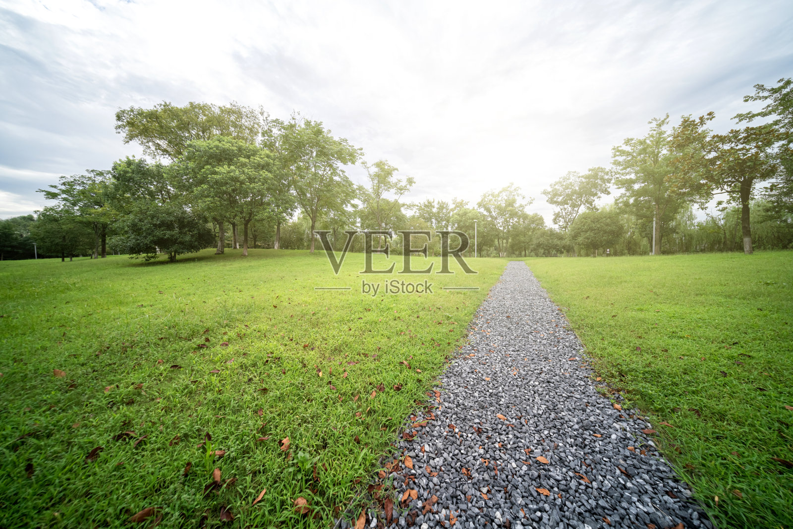 草地上通往树林的鹅卵石路。照片摄影图片
