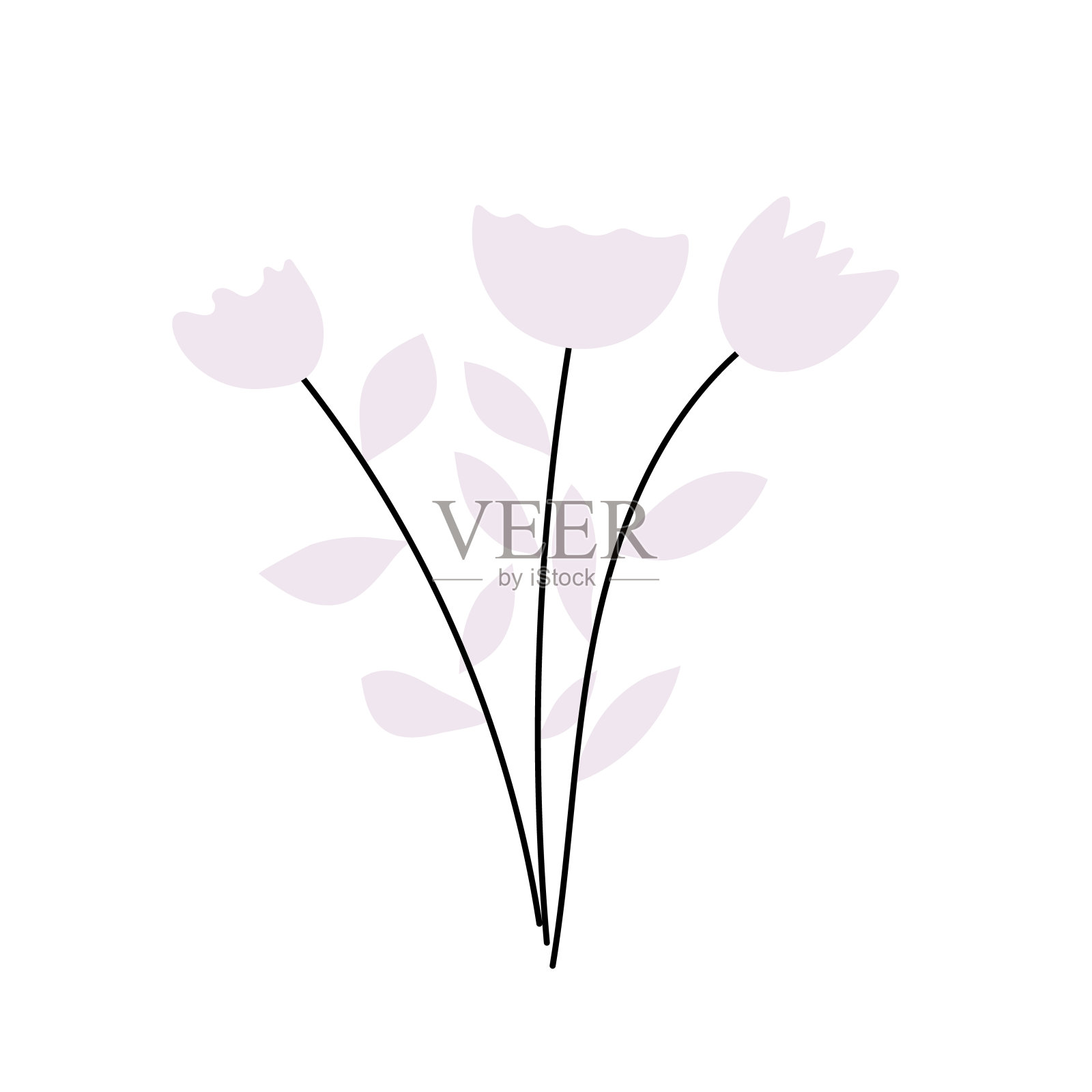 手绘一组郁金香。花孤立在白色背景上。的矢量图插画图片素材