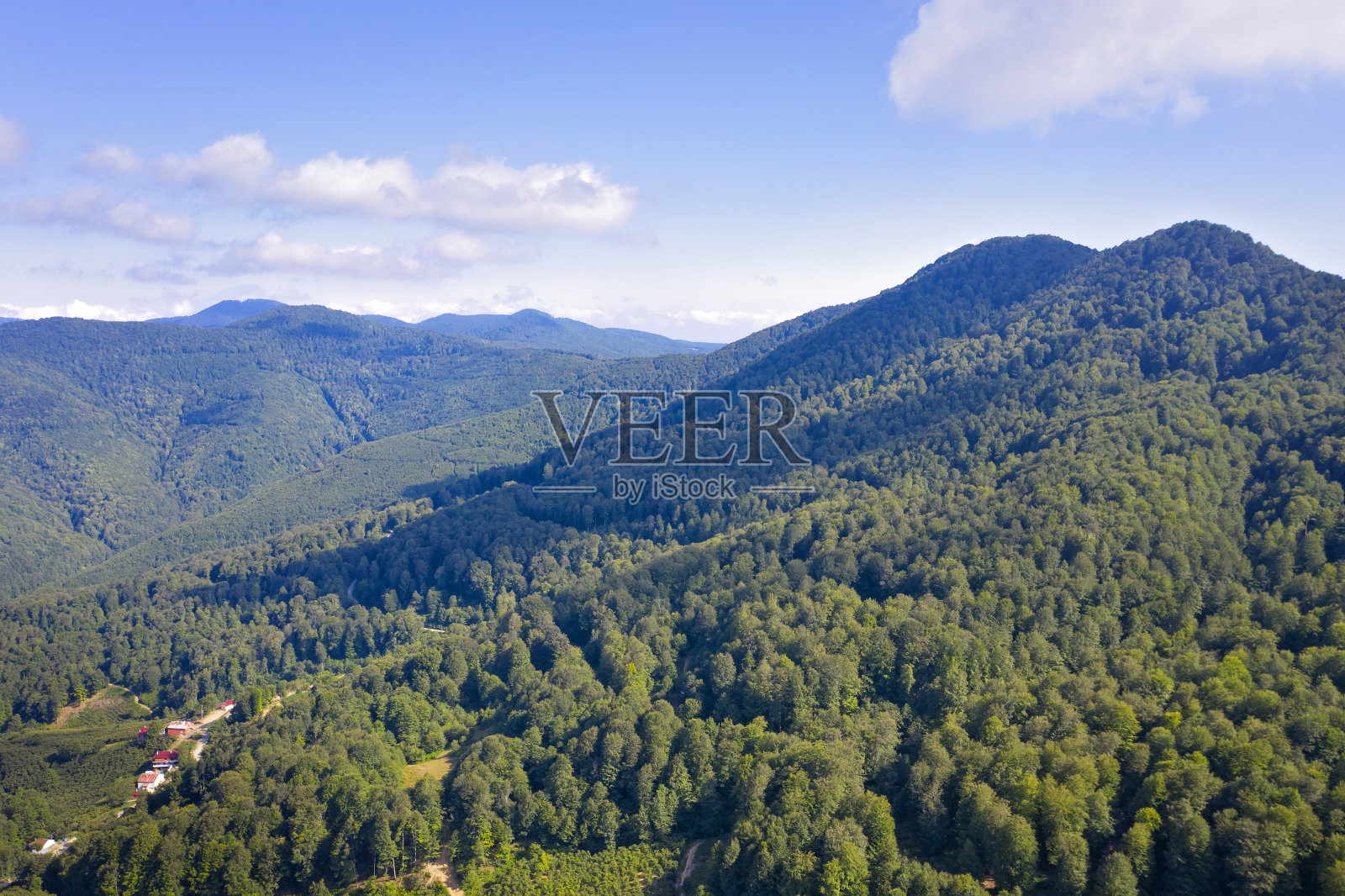 森林顶部的鸟瞰图黑海地区的土耳其。照片摄影图片