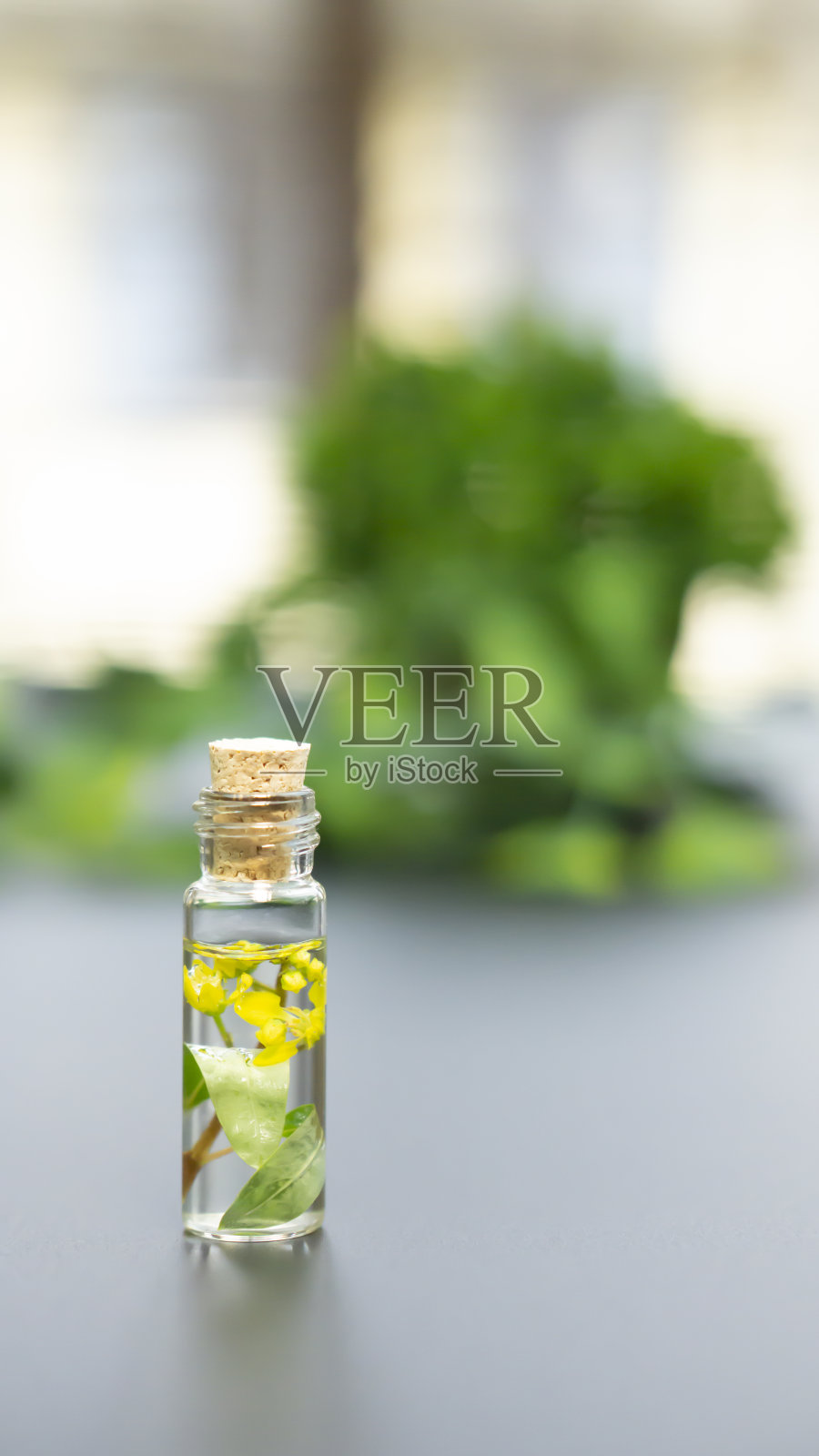 一个芳香疗法的解决方案保存在一个小玻璃瓶和软木盖在旁边照片摄影图片