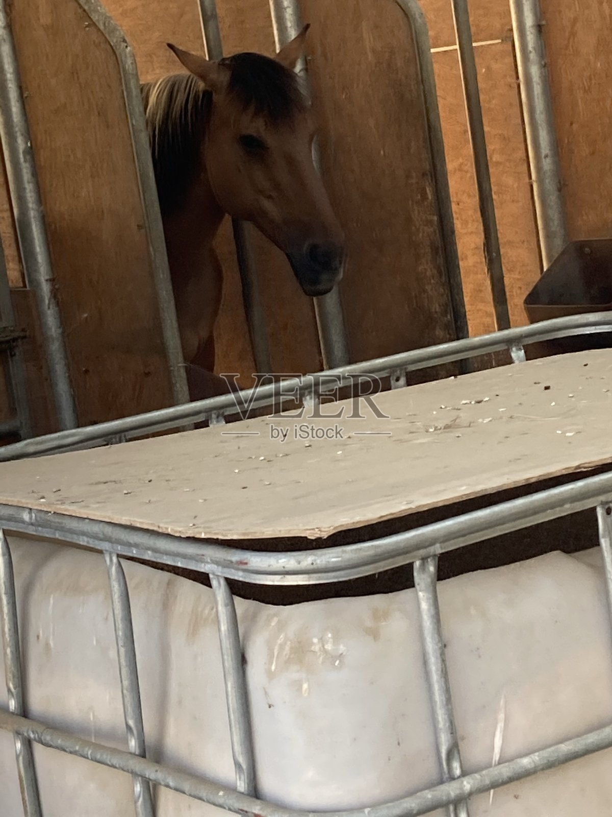 农田在德国照片摄影图片