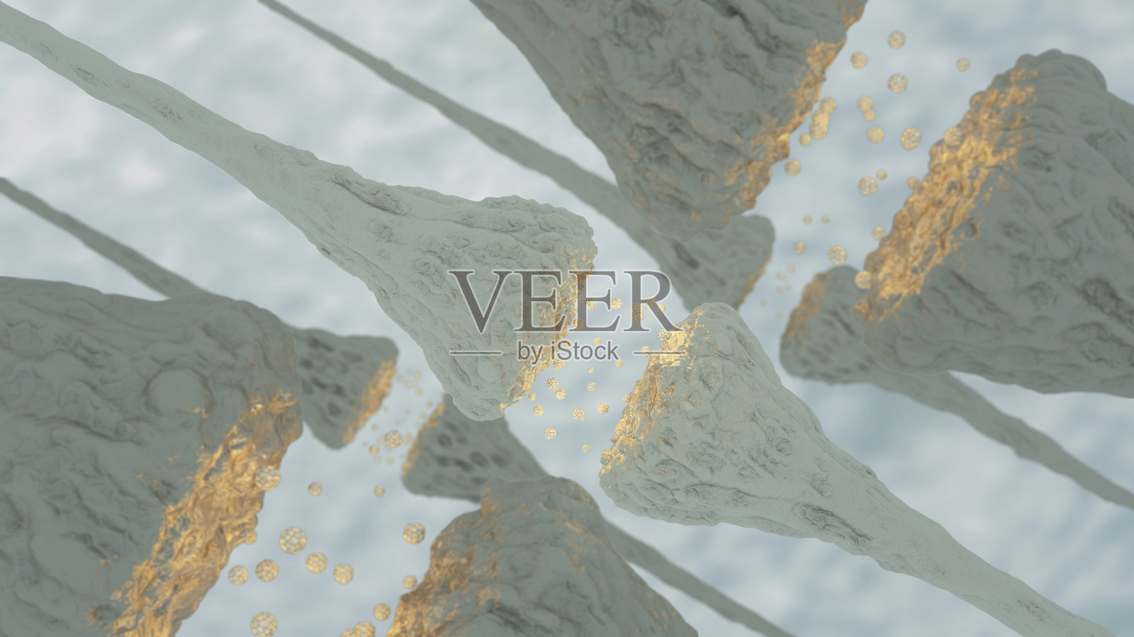 大脑神经元照片摄影图片