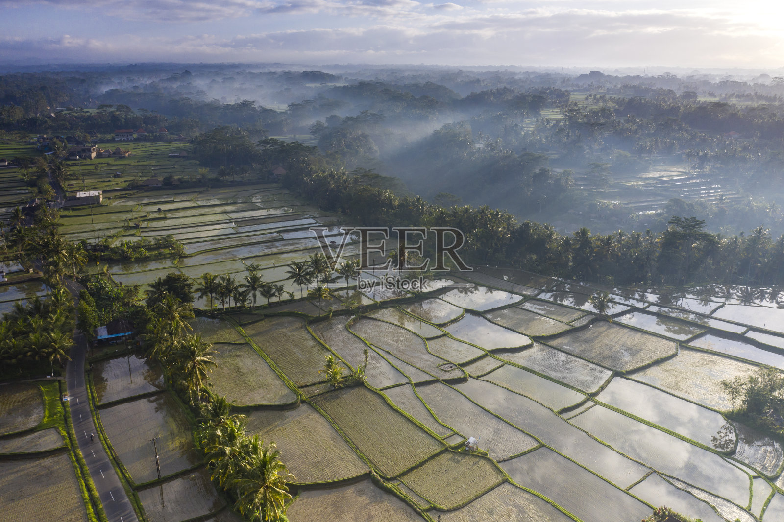 无人机拍摄的印尼巴厘岛的稻田照片摄影图片