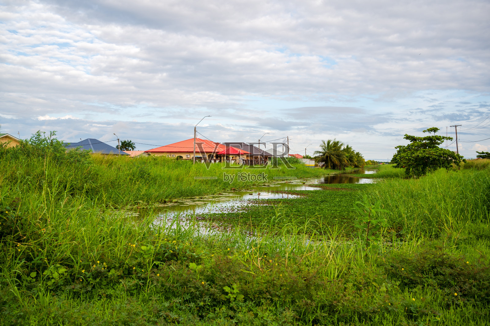帕拉马里博郊区,苏里南照片摄影图片